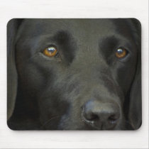 Black Labrador Dog Mousepads