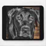 Black Labrador mousepads