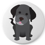 Black Labrador Puppy
