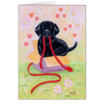 Black Labrador Puppy in the box