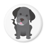 Black Labrador Puppy