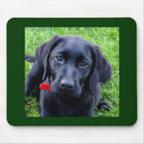 Black Labrador puppy mouse pad