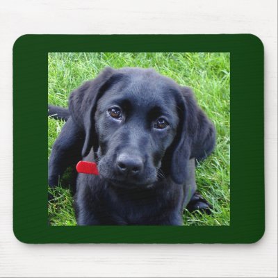 Black Labrador puppy mouse pad by Lesleysloft
