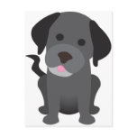 Black Labrador Puppy