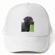 Black Labrador Retriever Baseball Hat 