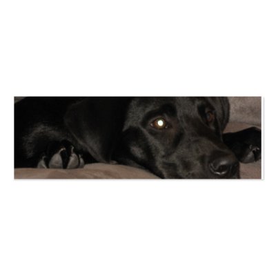 Black Labrador Retriever Bookmark Business Card by joanspouse