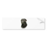 Black Labrador Retriever bumper stickers