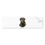 Black Labrador Retriever Bumper Stickers