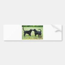 Black Labrador Retriever Bumper Sticker
