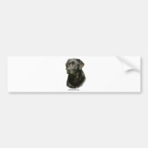 Black Labrador Retriever Bumper Sticker