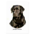 Black Labrador Retriever business cards
