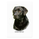 Black Labrador Retriever business cards
