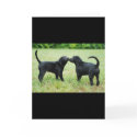 Black Labrador Retriever cards