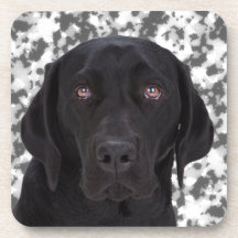 Black Labrador Retriever Coaster