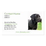 Black Labrador Retriever Dog Business Card