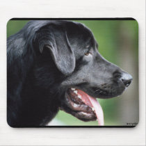 Black Labrador Retriever Dog Mouse Mats