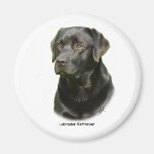 Black Labrador Retriever Fridge Magnet