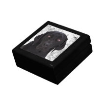 Black Labrador Retriever Gift Box