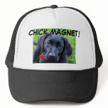 Black Labrador Retriever Hat