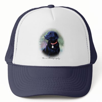Black Labrador Retriever Hat by terraphotography