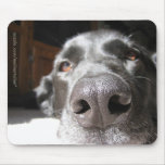 Black Labrador Retriever Mouse Mat