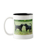 Black Labrador Retriever Coffee Mugs