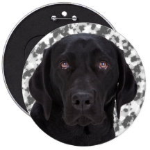 Black Labrador Retriever Pin