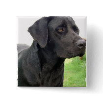 Black Labrador Retriever Square Pin