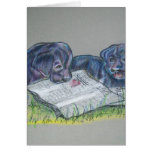 Black Labs At Play Cards