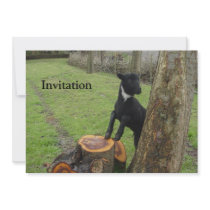 Black Lamb Invitations