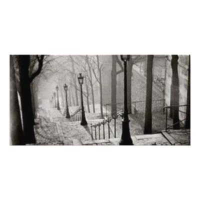 Black lamps personalized photo card by saritasdesign