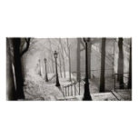 Black lamps photo cards