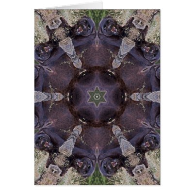 Black Leopard Kaleidoscope Card by luv2wander
