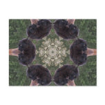 Black Leopard Kaleidoscope Postcard