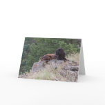Black Leopard Note Card