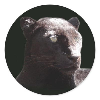 Black Leopard Portrait Sticker by TrenaHat
