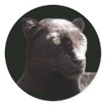 Black Leopard Portrait stickers