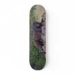 Black Leopard Skateboard