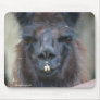 Black Llama Animal Nature Photo Mousepad