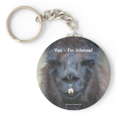 Black Llama Humourous Animal Nature Photo Keychain by SmilinEyesTreasures