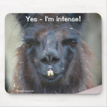 Black Llama Humourous Farm Animal Mousepad
