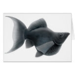 Black Lyretail Molly Aquarium Fish Card