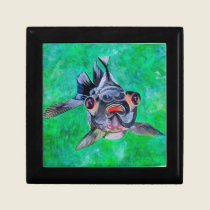 Black Moor Goldfish gift boxes
