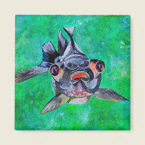 Black Moor Goldfish magnets