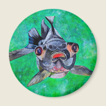 Black Moor Goldfish magnets