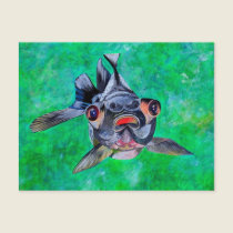 Black Moor Goldfish postcards