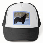 Black Morgan horse in snow Mesh Hat