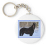 Black Morgan horse in snow Keychains