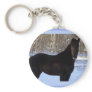 Black Morgan horse in snow Key Chains