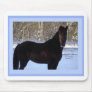 Black Morgan horse in snow Mousepads